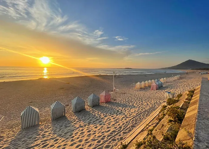 Paralelos * 몰레도